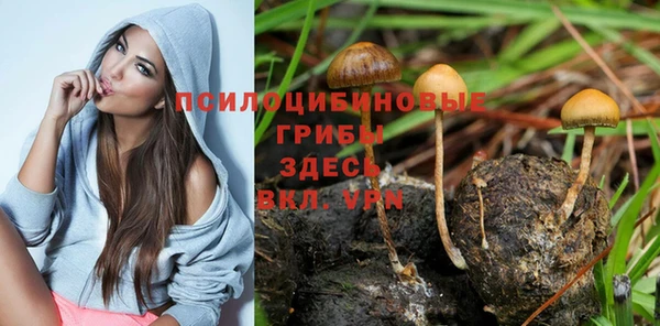 крисы Михайловка